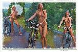 Free Wheeling - NFT